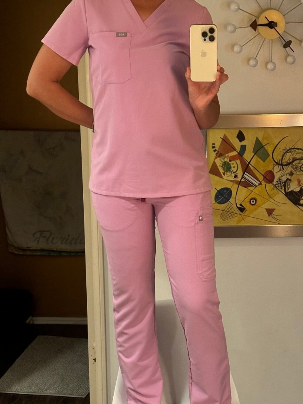 FIGS Scrub Set Dusk Purple - Catarina Top & Kade Cargo Pants PO# 1915 - Size XS - Picture 4 of 4